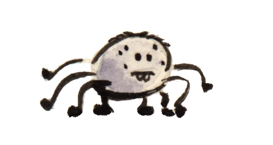 A little eight-legged dork